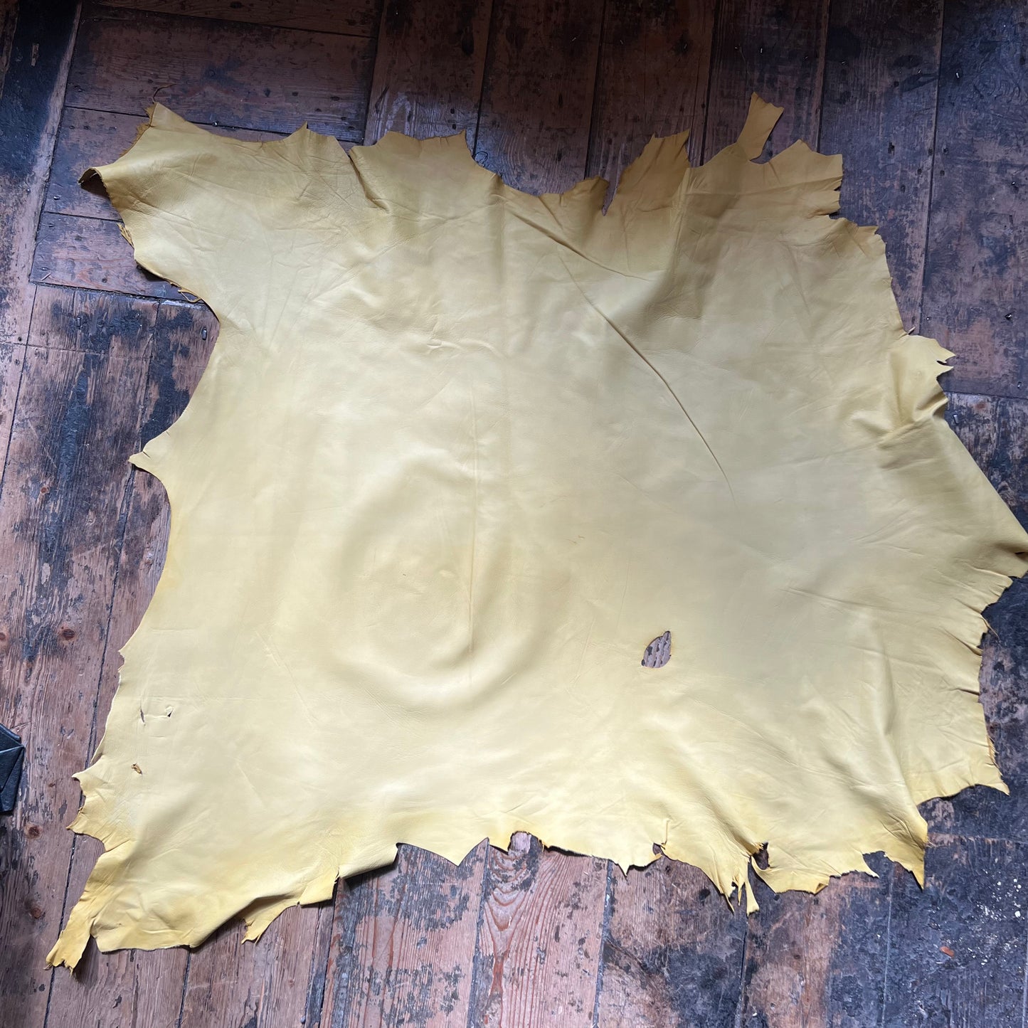 Mustard yellow Skin