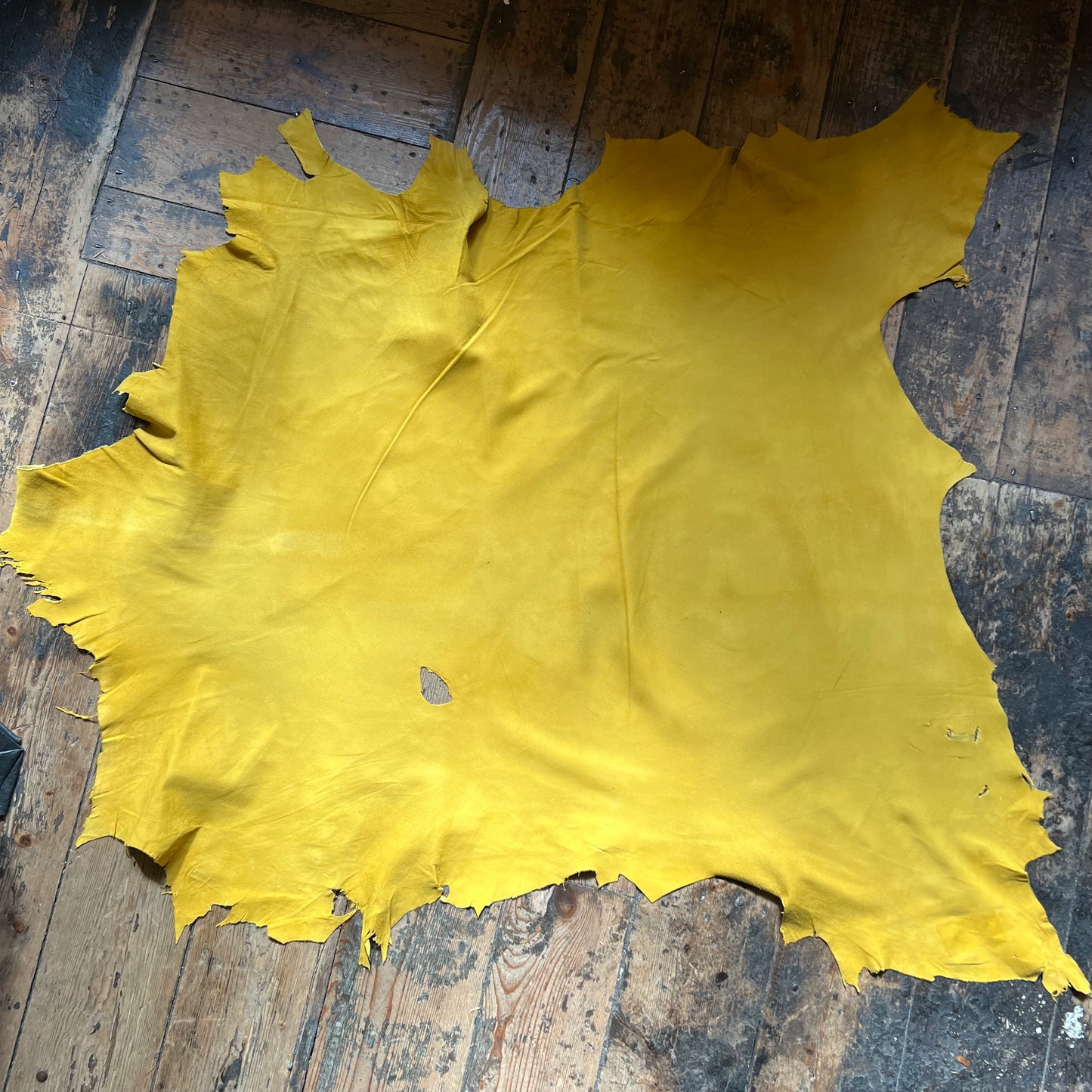 Mustard yellow Skin