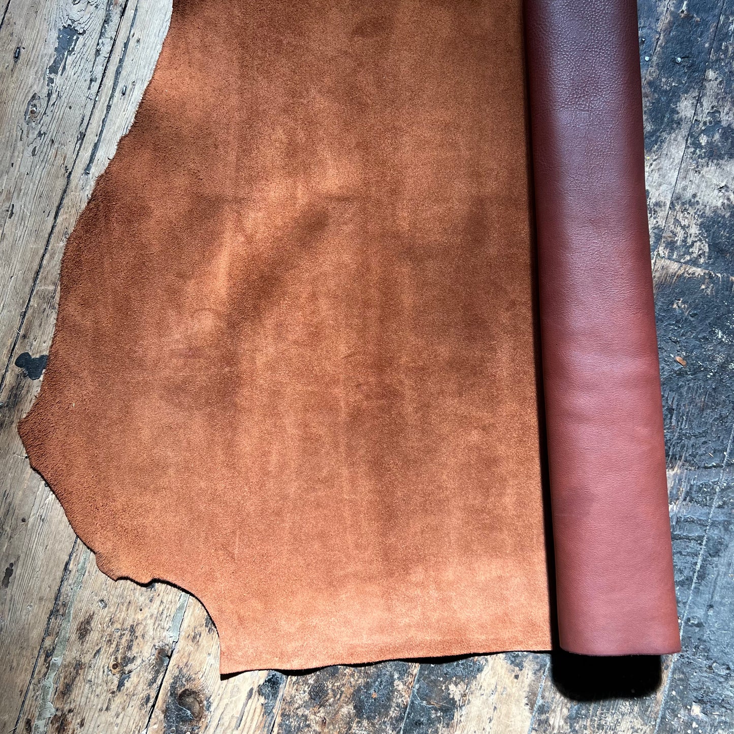 Tan Skin Roll