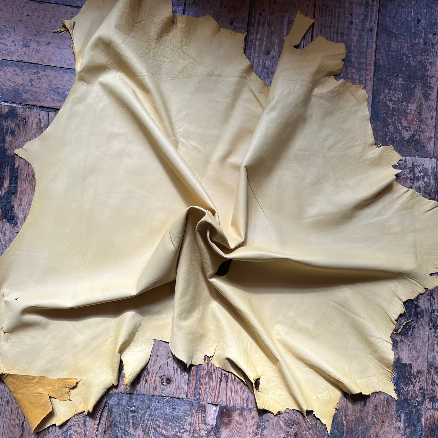 Mustard yellow Skin